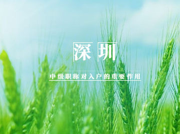 现在还能用！深圳市中级职称对积分入户与核准入户有着关键作用！